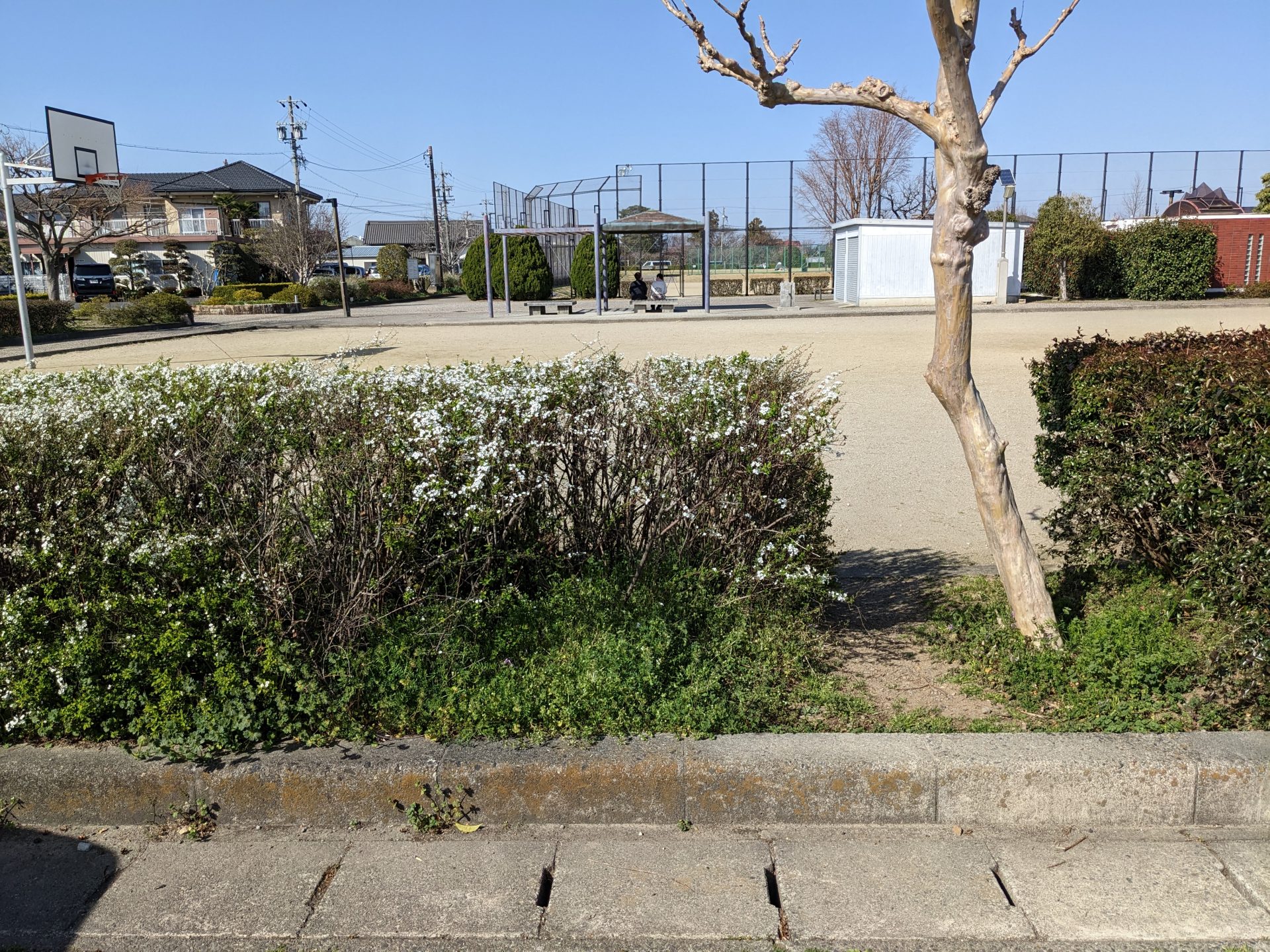 『ポイ捨て禁止』看板設置 | 道路標識・サイン工事