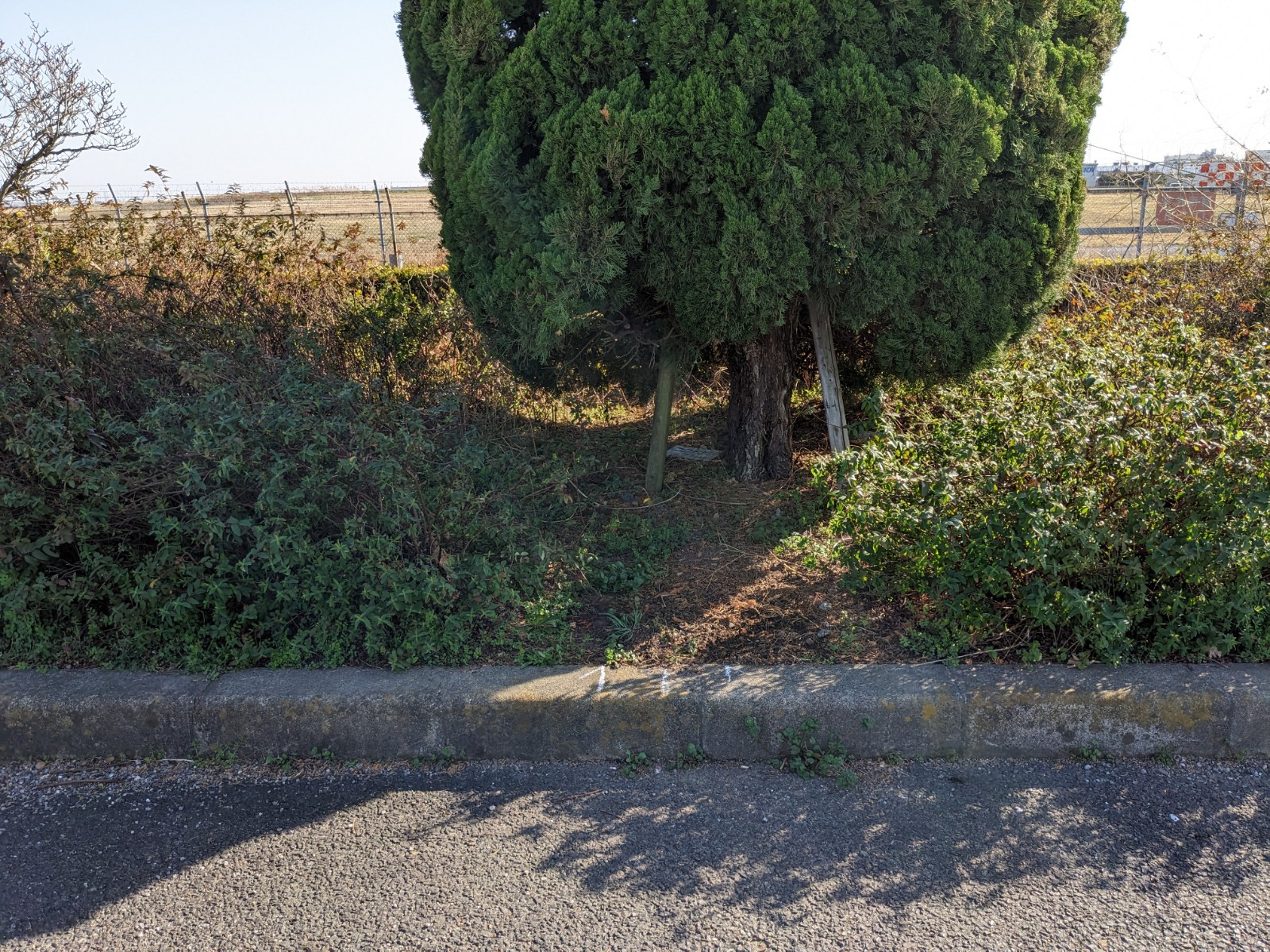 『ポイ捨て禁止』看板設置 | 道路標識・サイン工事