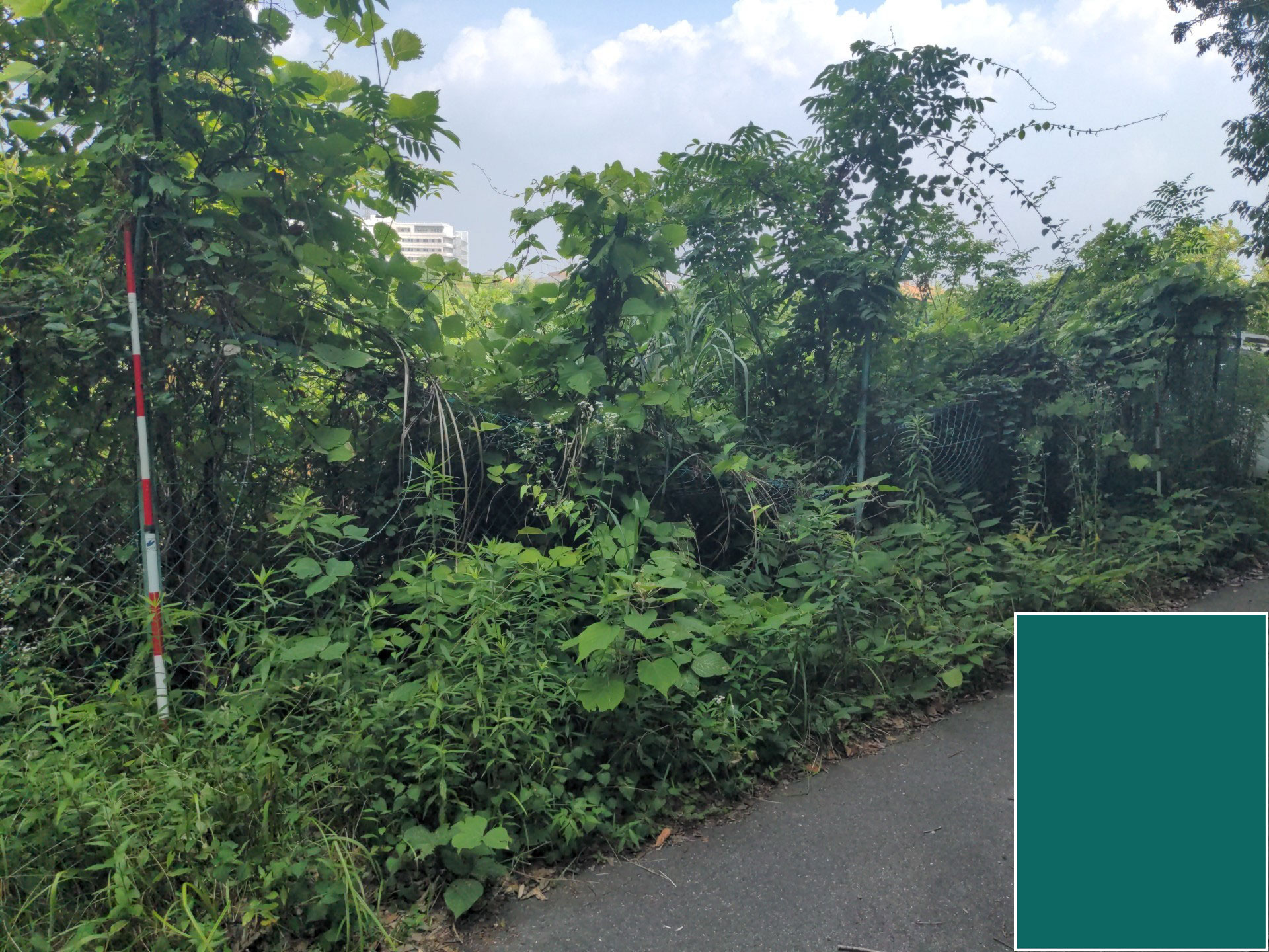 ネットフェンス修繕工事 | フェンス工事